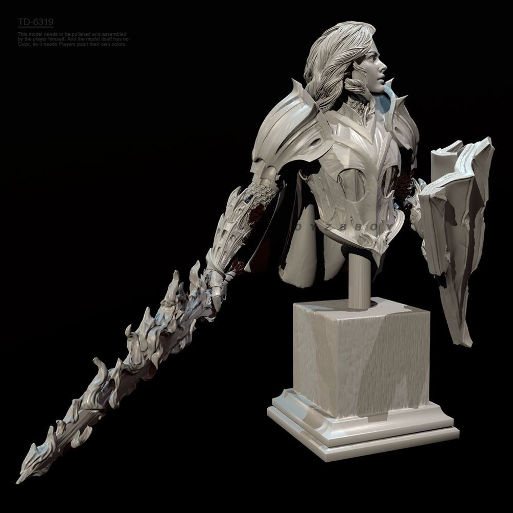 55mm 70mm Bust of A Female Kni - Model Kit Knight review and price