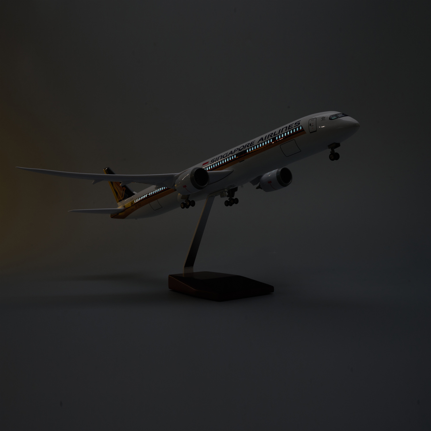 47cm Singapore B787-10 Resin D - Model Kit Singapore review and price